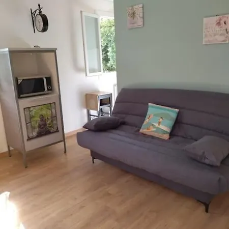 아파트 Les Tourterelles - Studio - Tv - Piscine - Proche Ocean *